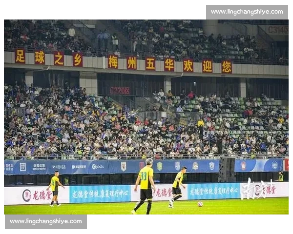 暖阳照看台！泰山 31 海港，三万球迷享足球盛宴